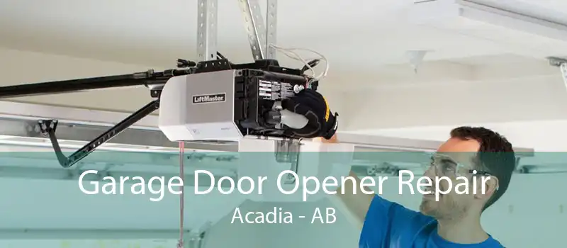 Garage Door Opener Repair Acadia - AB