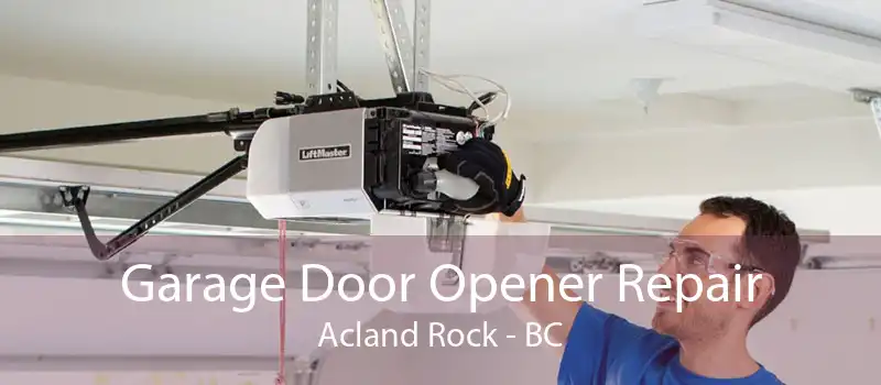 Garage Door Opener Repair Acland Rock - BC