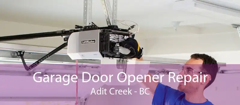 Garage Door Opener Repair Adit Creek - BC