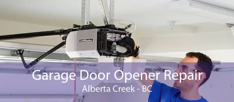 Garage Door Opener Repair Alberta Creek - BC