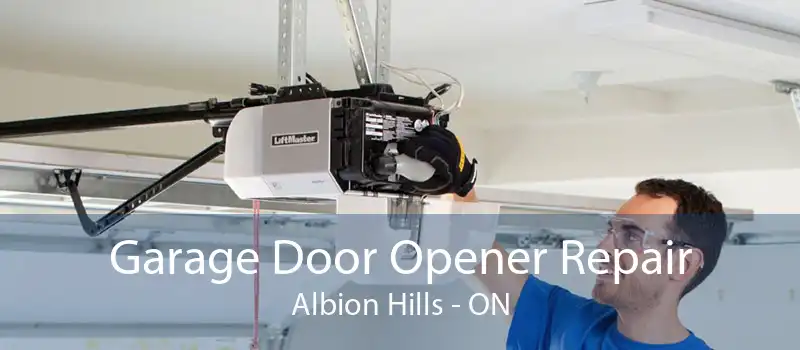 Garage Door Opener Repair Albion Hills - ON