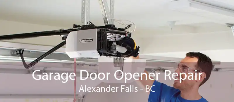 Garage Door Opener Repair Alexander Falls - BC