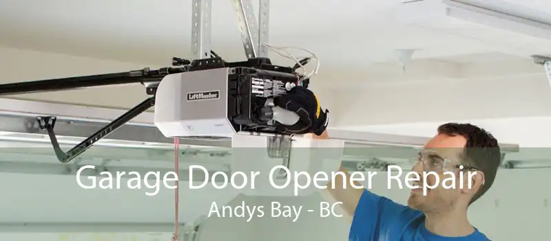 Garage Door Opener Repair Andys Bay - BC
