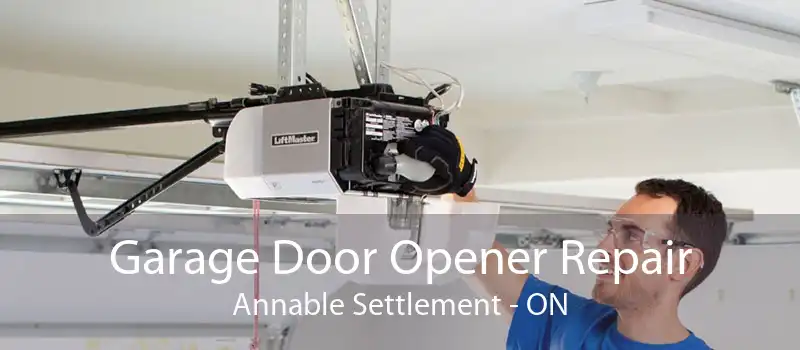 Garage Door Opener Repair Annable Settlement - ON