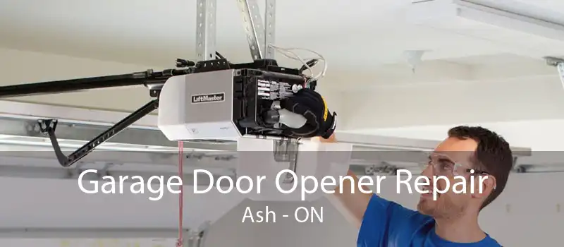 Garage Door Opener Repair Ash - ON