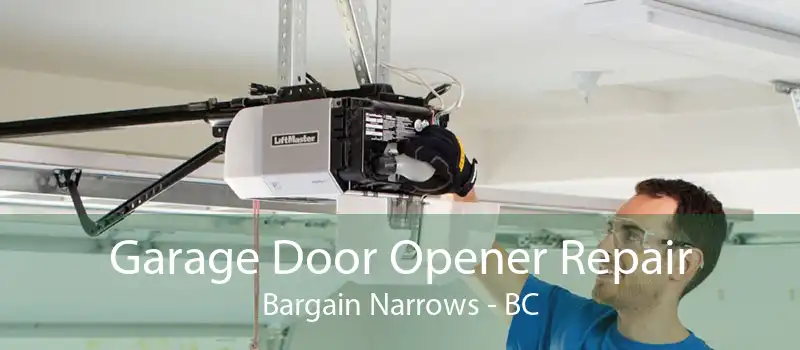 Garage Door Opener Repair Bargain Narrows - BC