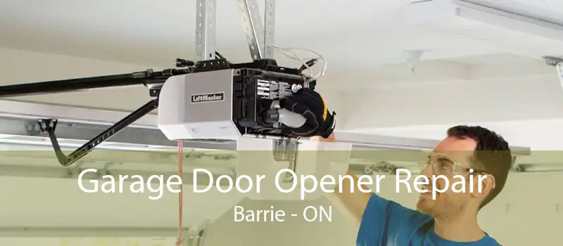 Garage Door Opener Repair Barrie - ON