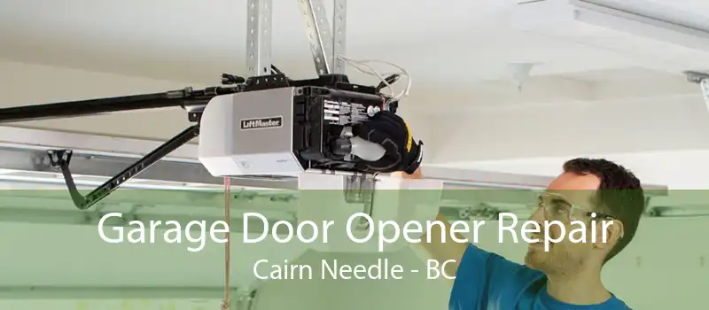 Garage Door Opener Repair Cairn Needle - BC