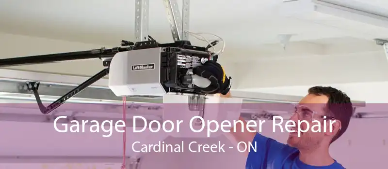 Garage Door Opener Repair Cardinal Creek - ON