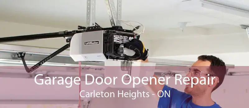 Garage Door Opener Repair Carleton Heights - ON