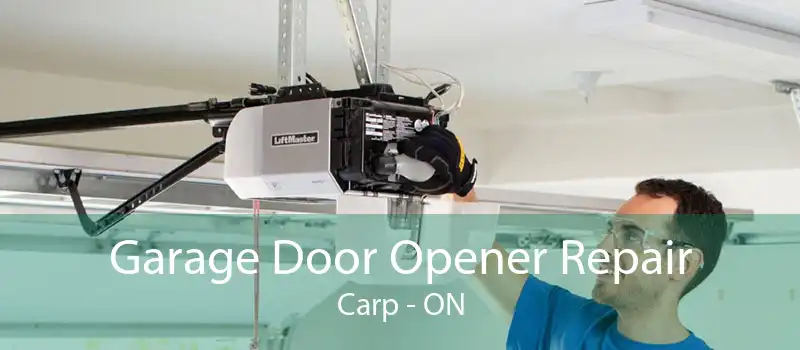 Garage Door Opener Repair Carp - ON