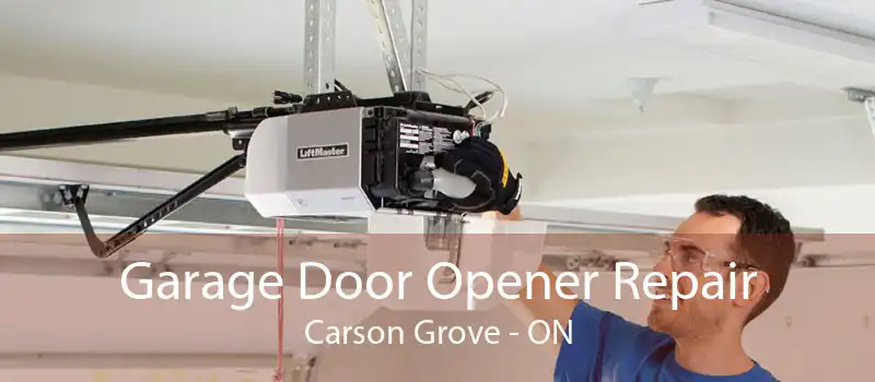 Garage Door Opener Repair Carson Grove - ON