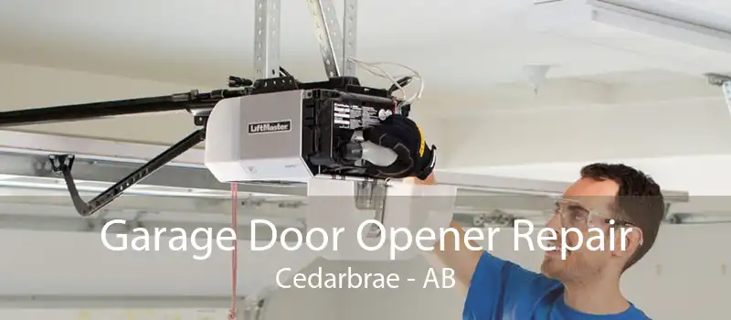 Garage Door Opener Repair Cedarbrae - AB