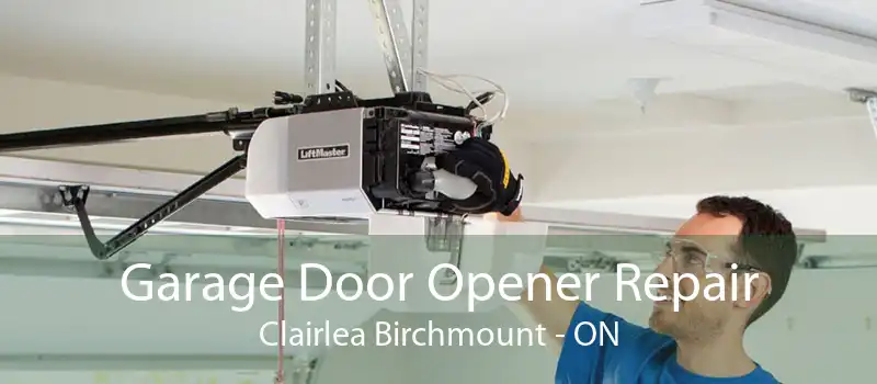 Garage Door Opener Repair Clairlea Birchmount - ON