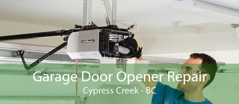 Garage Door Opener Repair Cypress Creek - BC