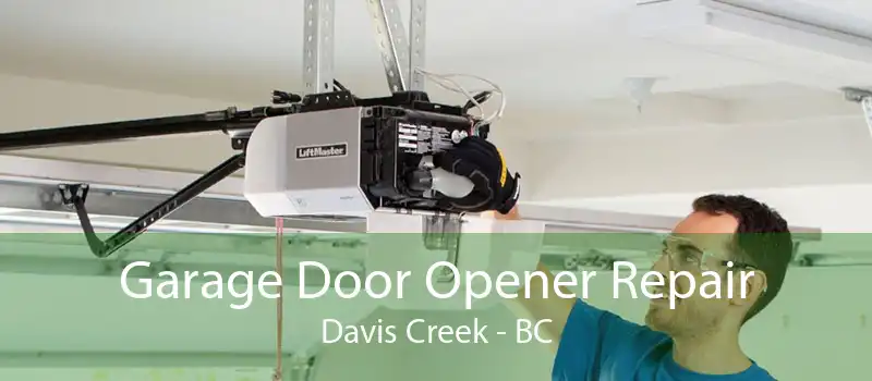 Garage Door Opener Repair Davis Creek - BC