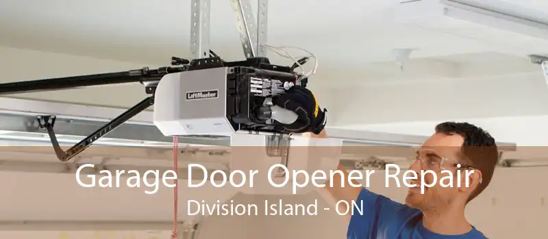 Garage Door Opener Repair Division Island - ON