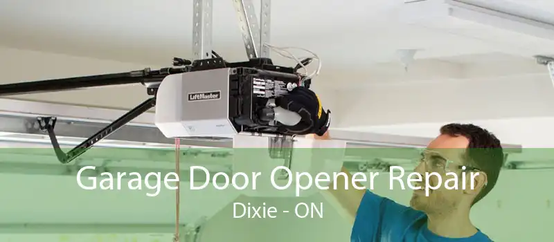 Garage Door Opener Repair Dixie - ON