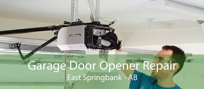 Garage Door Opener Repair East Springbank - AB