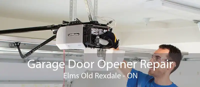 Garage Door Opener Repair Elms Old Rexdale - ON