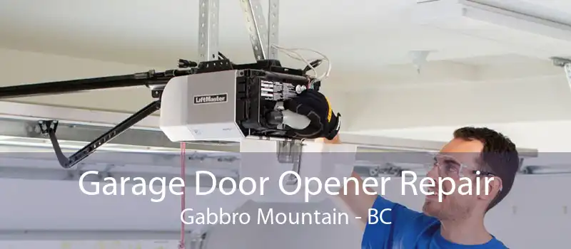 Garage Door Opener Repair Gabbro Mountain - BC