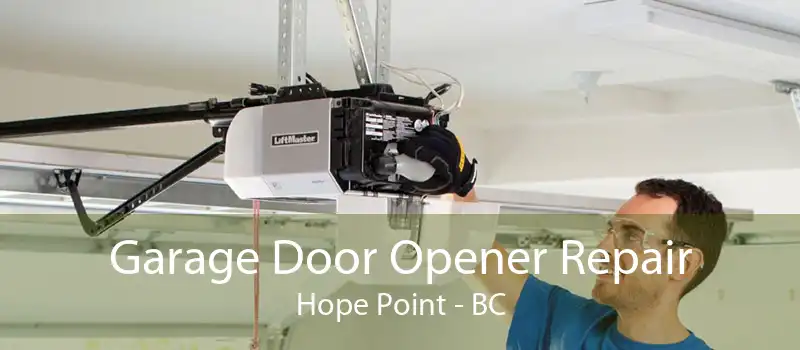 Garage Door Opener Repair Hope Point - BC