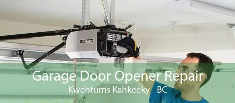 Garage Door Opener Repair Kwehtums Kahkeeky - BC