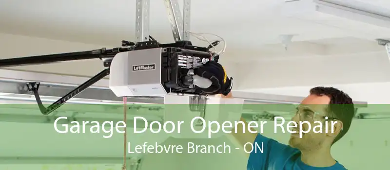 Garage Door Opener Repair Lefebvre Branch - ON