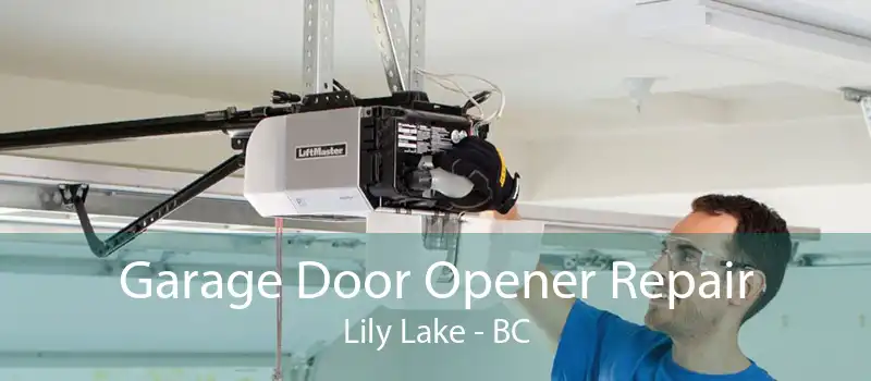 Garage Door Opener Repair Lily Lake - BC