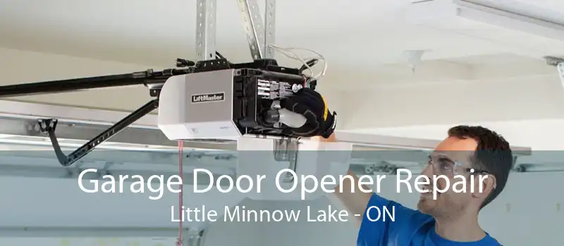 Garage Door Opener Repair Little Minnow Lake - ON