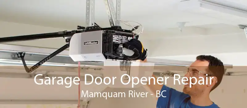 Garage Door Opener Repair Mamquam River - BC