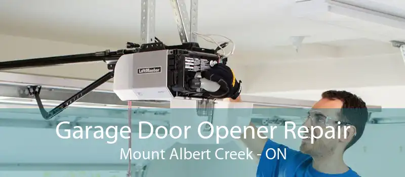 Garage Door Opener Repair Mount Albert Creek - ON
