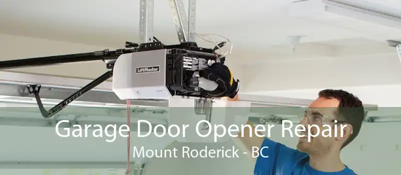 Garage Door Opener Repair Mount Roderick - BC
