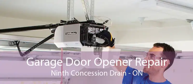 Garage Door Opener Repair Ninth Concession Drain - ON