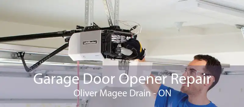 Garage Door Opener Repair Oliver Magee Drain - ON