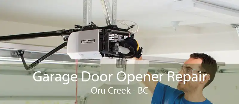 Garage Door Opener Repair Oru Creek - BC