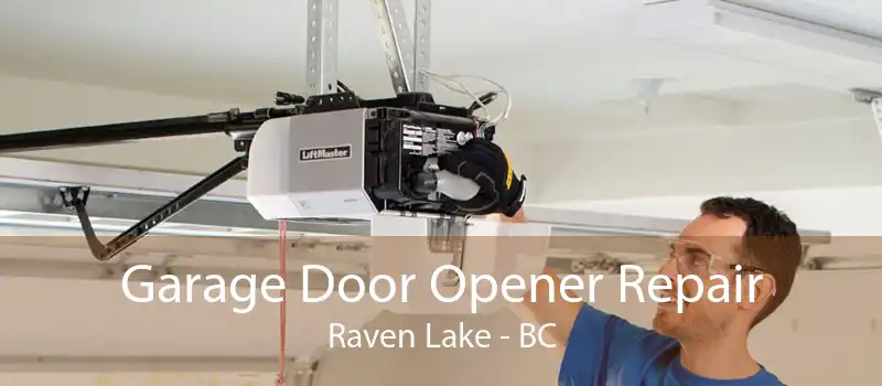 Garage Door Opener Repair Raven Lake - BC