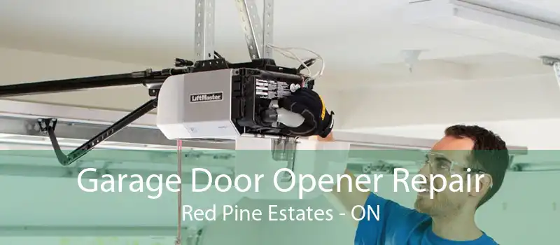 Garage Door Opener Repair Red Pine Estates - ON