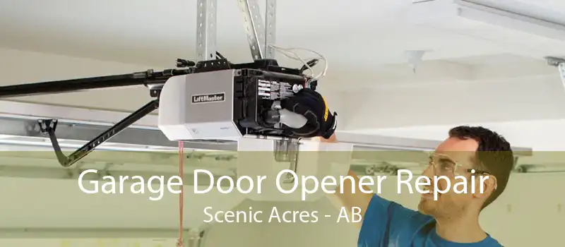 Garage Door Opener Repair Scenic Acres - AB