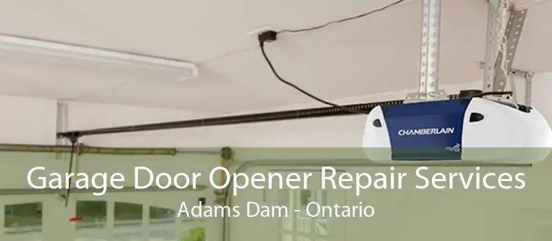 Garage Door Opener Repair Services Adams Dam - Ontario