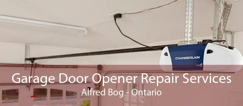 Garage Door Opener Repair Services Alfred Bog - Ontario
