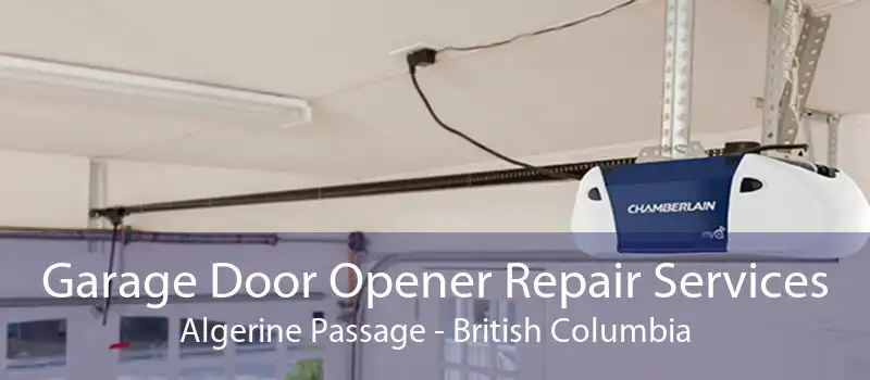 Garage Door Opener Repair Services Algerine Passage - British Columbia