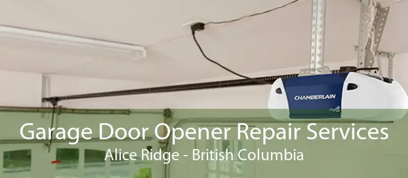 Garage Door Opener Repair Services Alice Ridge - British Columbia