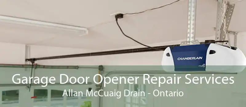 Garage Door Opener Repair Services Allan McCuaig Drain - Ontario