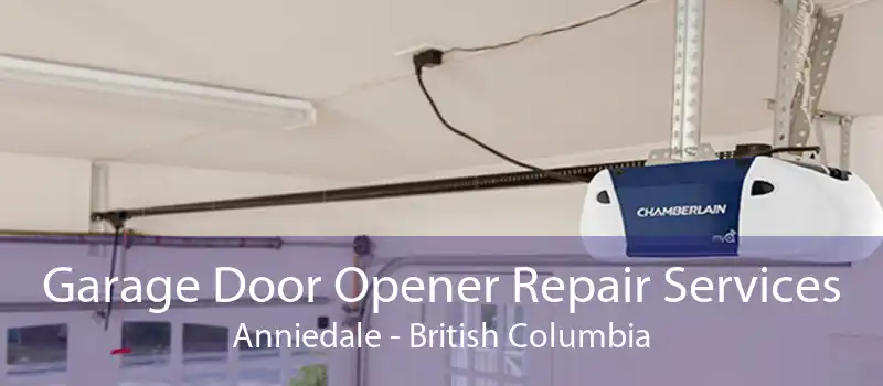 Garage Door Opener Repair Services Anniedale - British Columbia