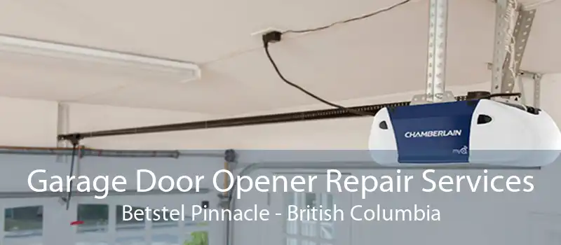 Garage Door Opener Repair Services Betstel Pinnacle - British Columbia