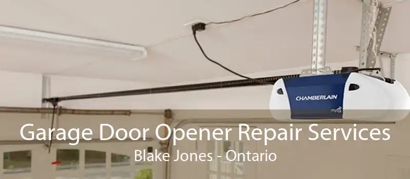 Garage Door Opener Repair Services Blake Jones - Ontario