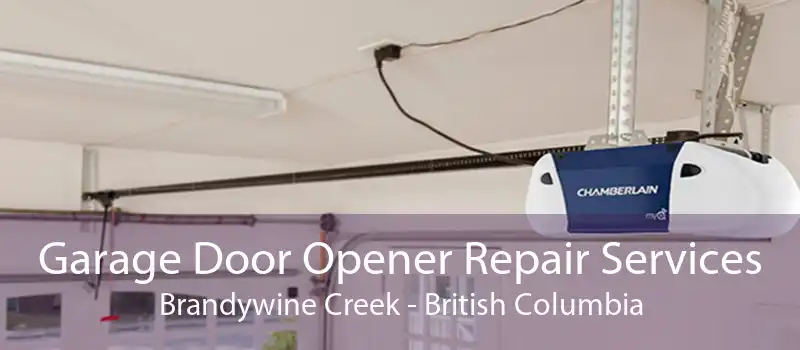 Garage Door Opener Repair Services Brandywine Creek - British Columbia