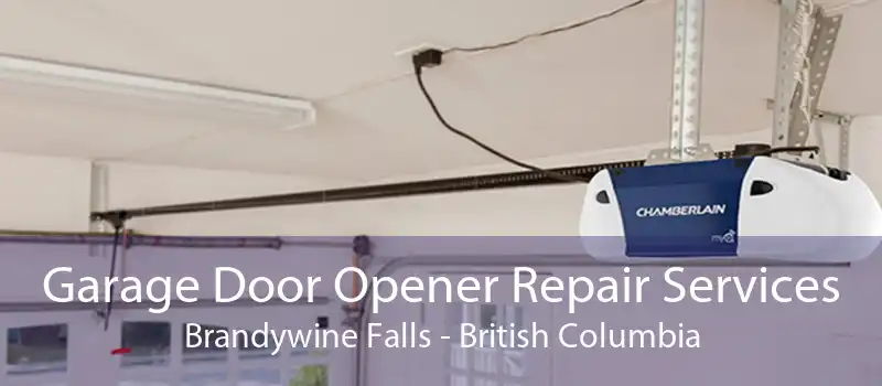 Garage Door Opener Repair Services Brandywine Falls - British Columbia