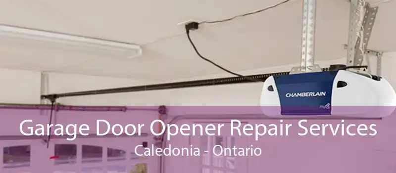 Garage Door Opener Repair Services Caledonia - Ontario